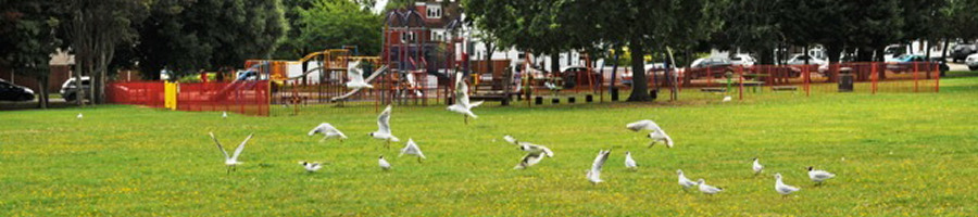The Shul in the Park